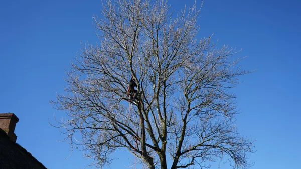 Grandmother and granddaughter laughing together while playing on the grass